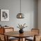 Retro pendellampe gunmetal med røgglas - Giselle