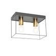 Minimalist-Ceiling-Light-Black-with-Gold-2-Light---Kodi
