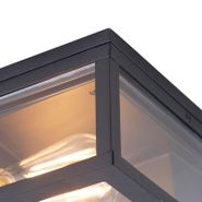 Przemysłowa-lampa-sufitowa-czarna-IP44-2-punktowa---Charlois