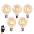 Set-od-5-E27-Zatamnjivih-LED-Sijalica-G95-4.9W-320-lm-2500K
