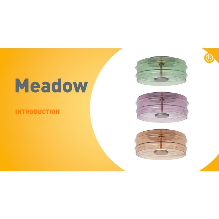 Lámpara de techo de diseño de latón con cristal marrón con LED regulable en 3 pasos - Meadow