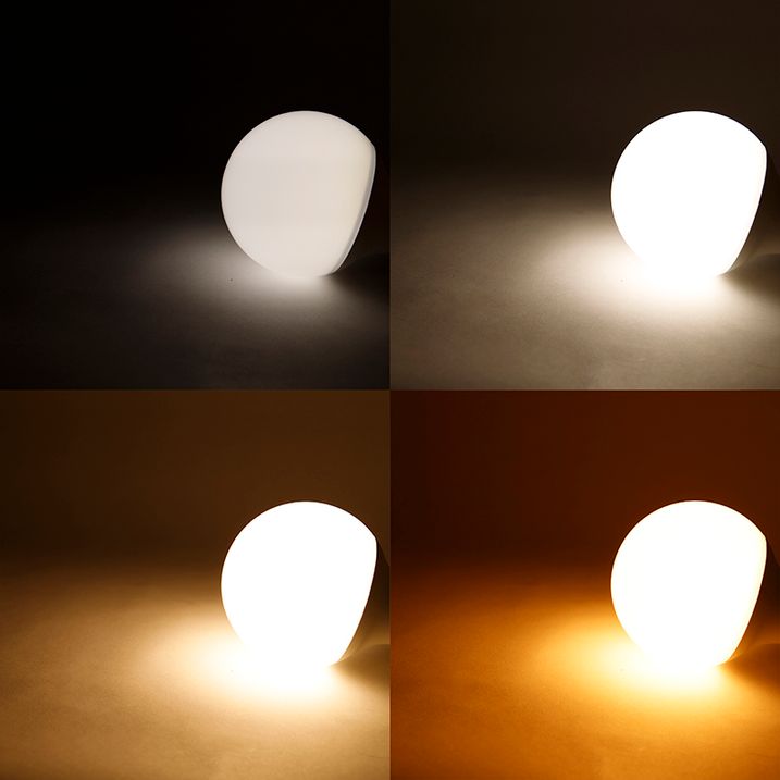 Smart E27 dimbare LED lamp G95 11W 900 lm 2200-4000K RGB
