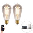 Set-van-2-smart-E27-LED-lampen-ST64-smoke-7W-400-lm-1800K