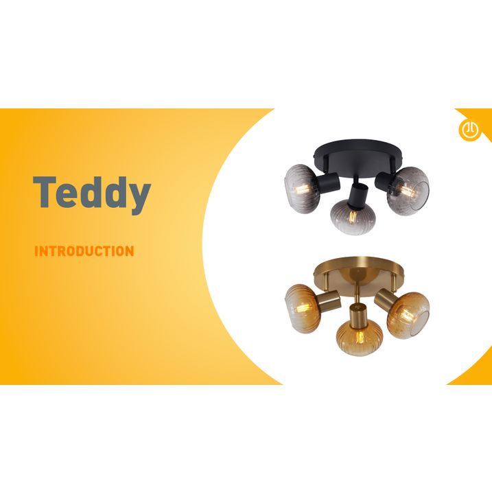 Modern Ceiling Spotlight Black with Round Smoked Glass 3-Light - Teddy
