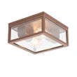 Industrijska-plafonska-lampa-rđasto-braon-IP44-2-svetla---Charlois