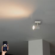 Smart-Spotlight-White-Adjustable-Square-Incl.-Wifi-GU10-50mm---Jeana