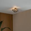 Design-plafondlamp-zwart-met-smoke-glas-3-lichts---Uvas