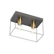 Minimalist-Ceiling-Light-Black-with-Gold-2-Light---Kodi