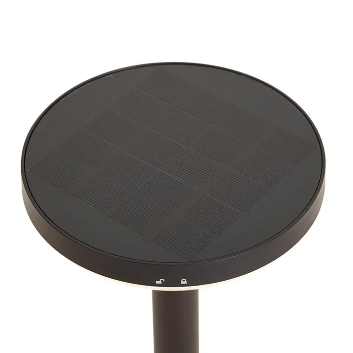 Catena Luminosa Solare Paulmann Soala 94874 - 30 LED, 3,9 M, 3000K, IP44, Nera - 3