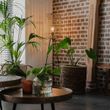 Country-Floor-Lamp-Black-with-Rattan---Manila