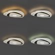 Designerska-lampa-sufitowa-biała-z-ciemnoszarym-organicznym-kształtem-z-LED-z-możliwością-ściemniania---Taylor