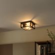 Industrijska-plafonska-lampa-rđasto-braon-IP44-2-svetla---Charlois