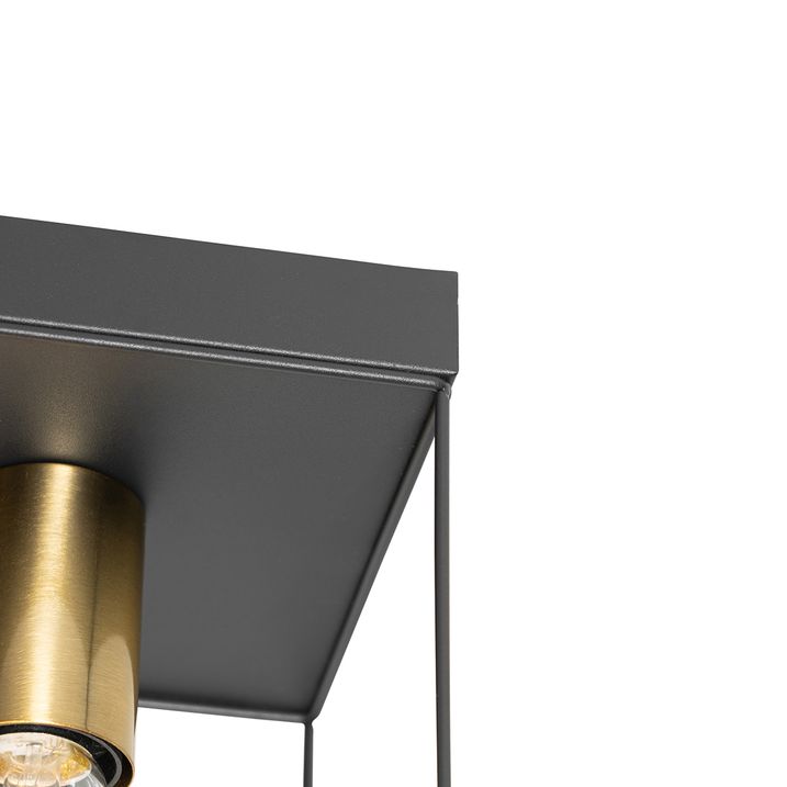 Minimalist Ceiling Light Black with Gold 2-Light - Kodi
