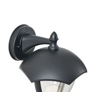 Smarte-Außenwandleuchte-schwarz-mit-Klarglas-inkl.-LED-IP54---Classica