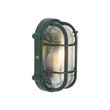 Lampada-da-parete-e-da-soffitto-per-esterni-verde-scuro-ovale-IP44---Noutica
