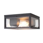 Przemysłowa-lampa-sufitowa-czarna-IP44-2-punktowa---Charlois
