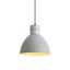 Suspension-intelligente-grise-30-cm-avec-ampoule-A60-wifi---Dory