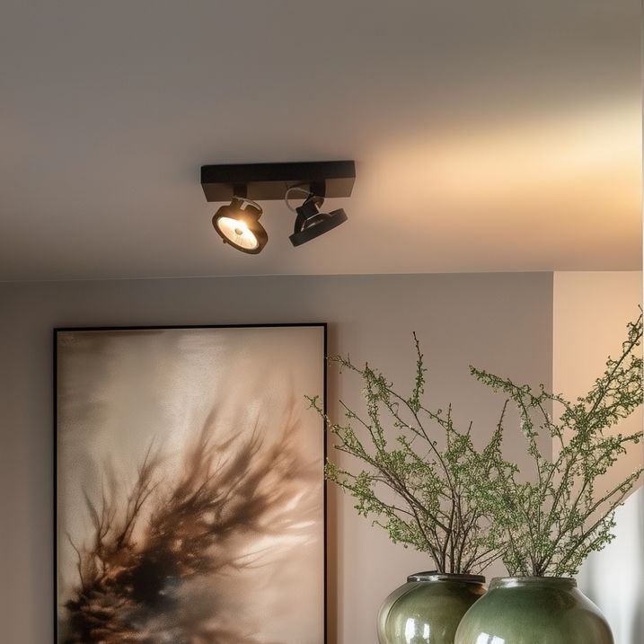 Design-Strahler schwarz verstellbar 2-Licht - Go