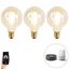 Set-di-3-lampadine-LED-intelligenti-E27-dimmerabili-con-luce-calda-G95-Goldline-7W-806lm-1800K---3000K