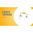 Plafondspot-goud-met-glas-2-lichts-verstelbaar---Laura