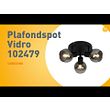 Takspotlight-svart-med-rökglas-3-ljus---Vidro