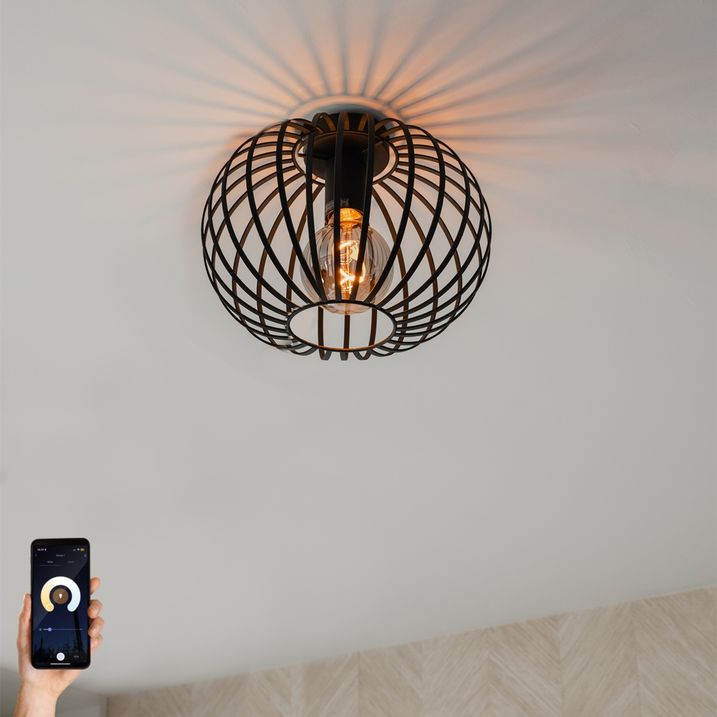 Smart Ceiling Lamp Black 30 cm Incl. Wifi G95 - Johanna