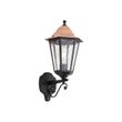 Lampada-da-parete-classica-nera-con-rame-IP44---Havana