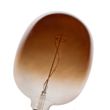 5'li-Set-E27-Kısılabilir-LED-Ampul-G170-Kahverengi-4.9W-130-lm-1800K